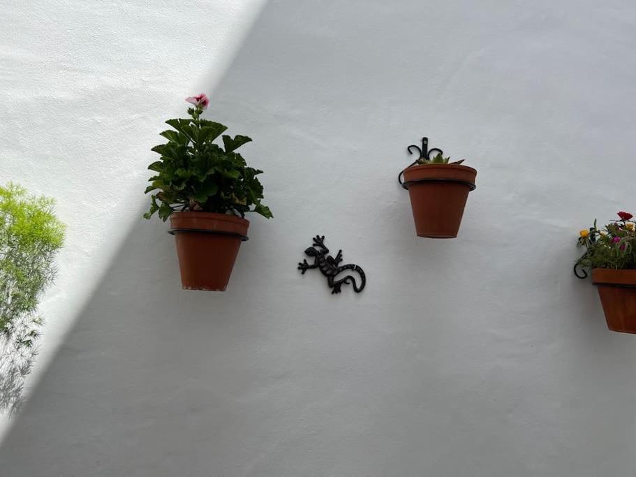 Casa Encantadora Olvera